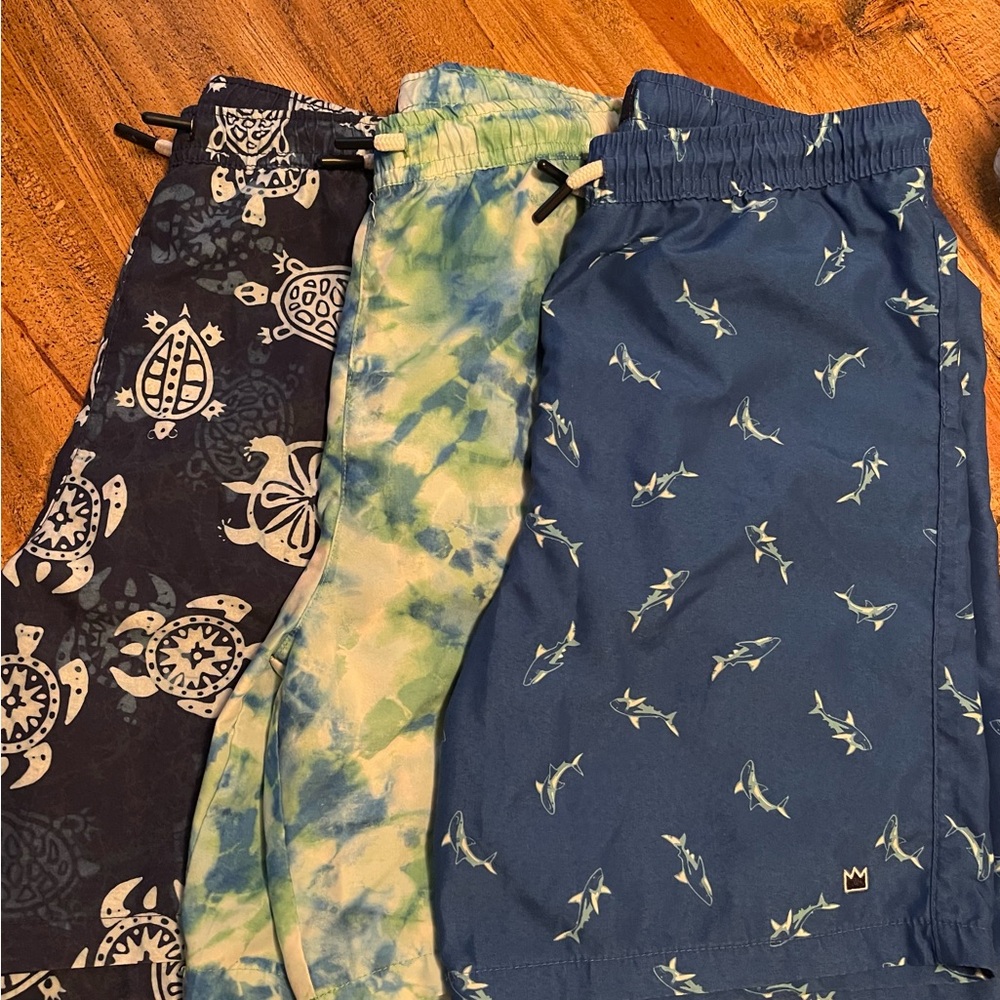 Boys Crown & Ivy Swimming Trunks (3)